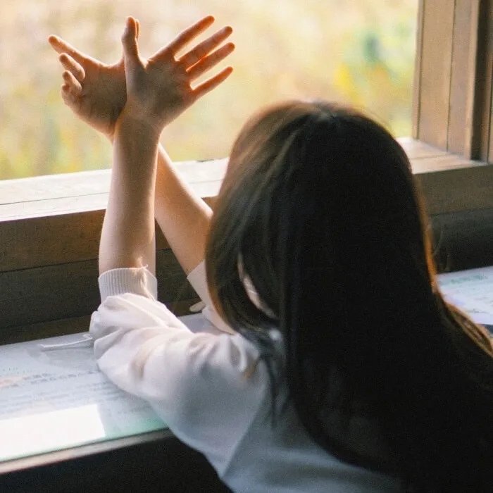 我能看清万物价值